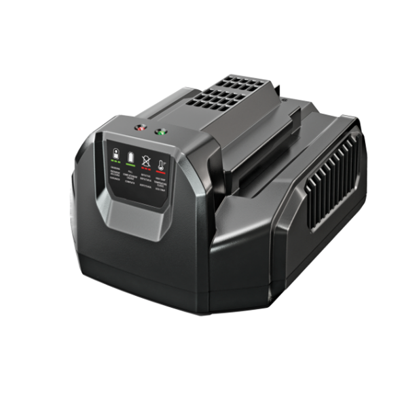 EGO STANDARD CHARGER 210W CH2100E
