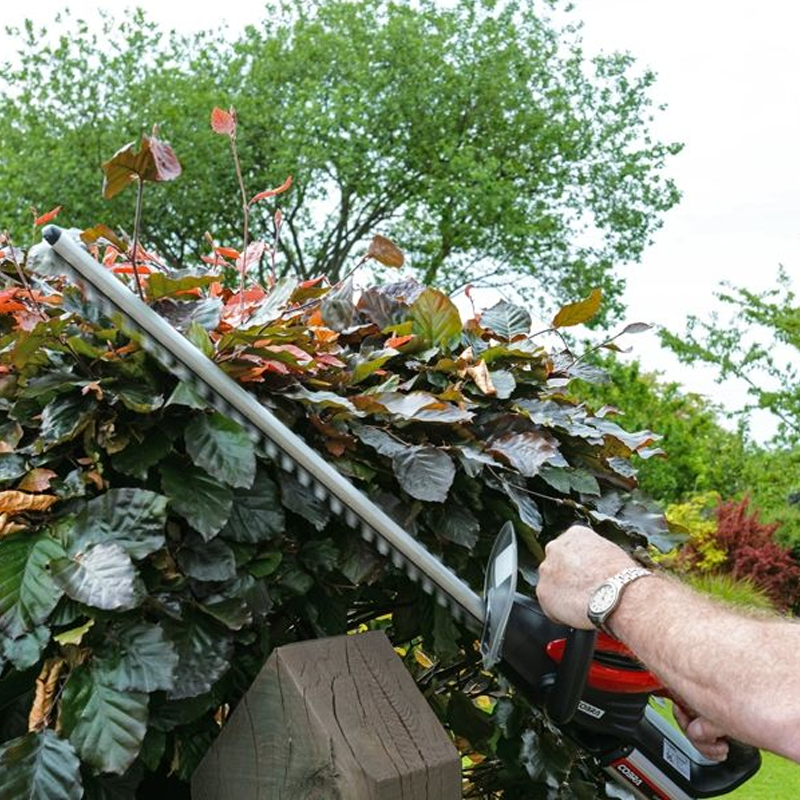 Cobra 24V 2Ah 50cm Hedge Trimmer Kit H5024V (With Battery & Charger)