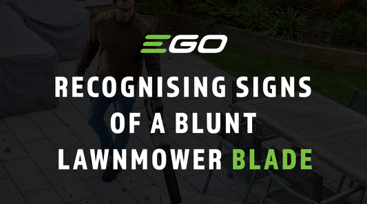 Recognising Signs of a Blunt Lawn Mower Blade