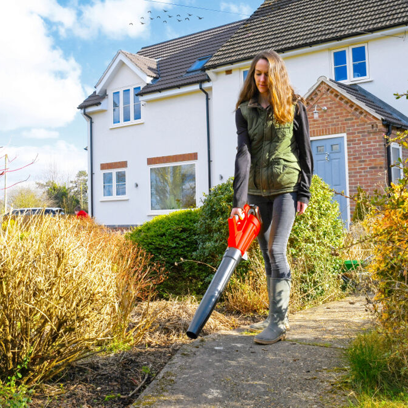 Cobra 24V 2Ah Leaf Blower Kit LB45024V (With Battery & Charger)